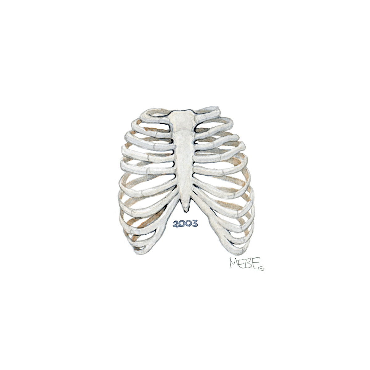 ribcage03.jpg