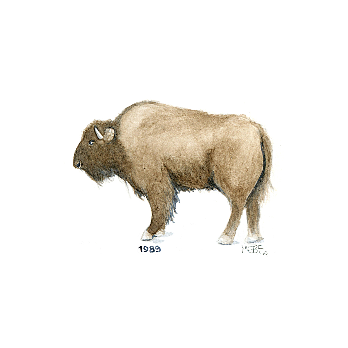 buffalo89.jpg