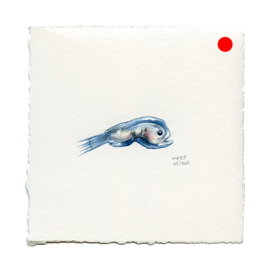 draw68_anglerfish(SOLD).jpg
