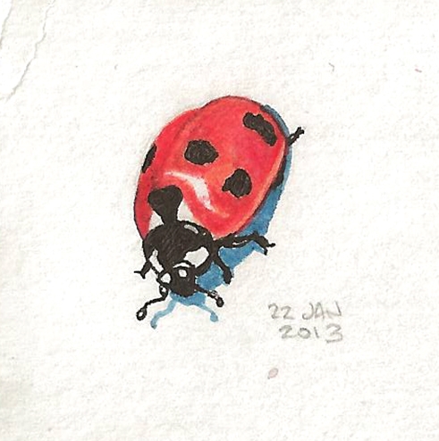 22_ladybug.jpg