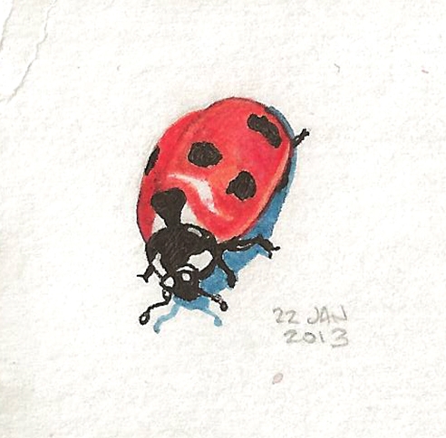 22_ladybug.jpg