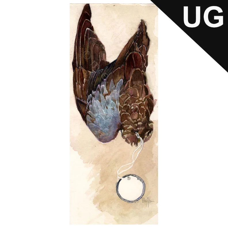 wing_specimen_002.jpg