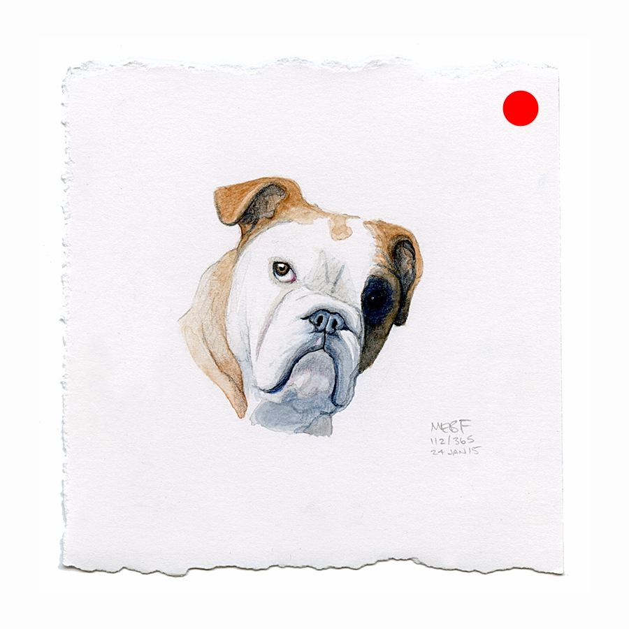 draw111_gimli(bulldog).jpg