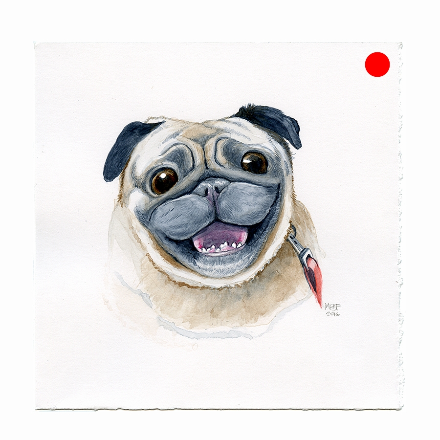 happy_pug_face001.jpg