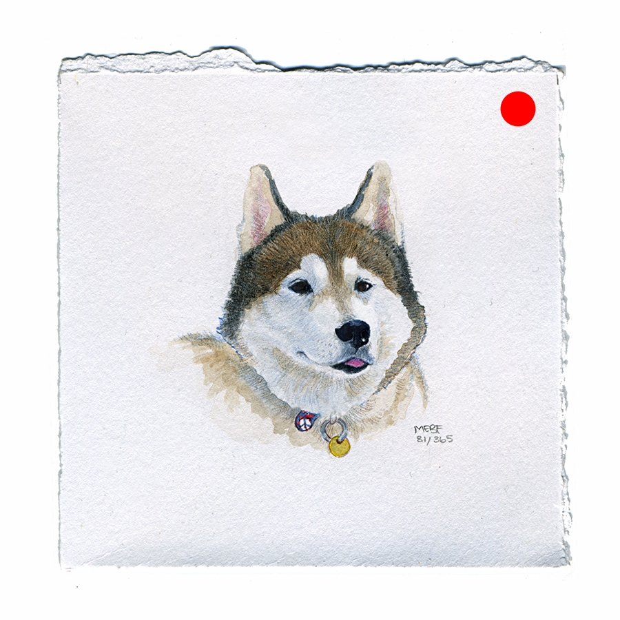 draw81_husky.jpg