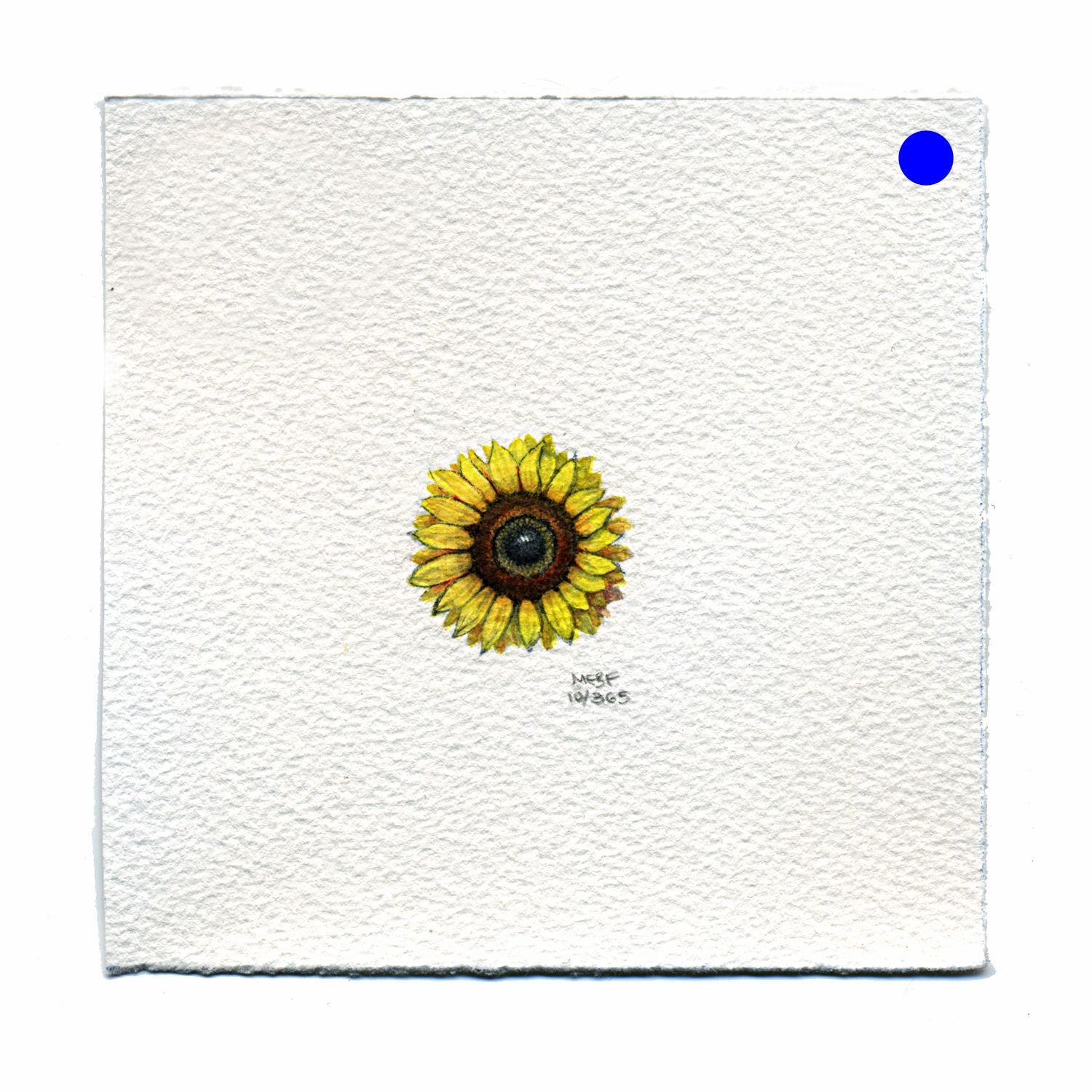 draw10_sunflower.jpg