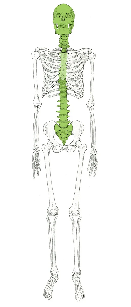 Megan Foldenauer, Artist - Science