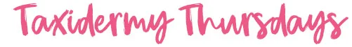 tax_thursday_banner.jpg