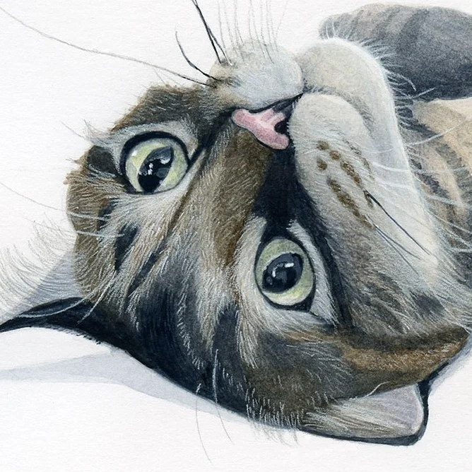 tyler_kitteh_commission001.jpg