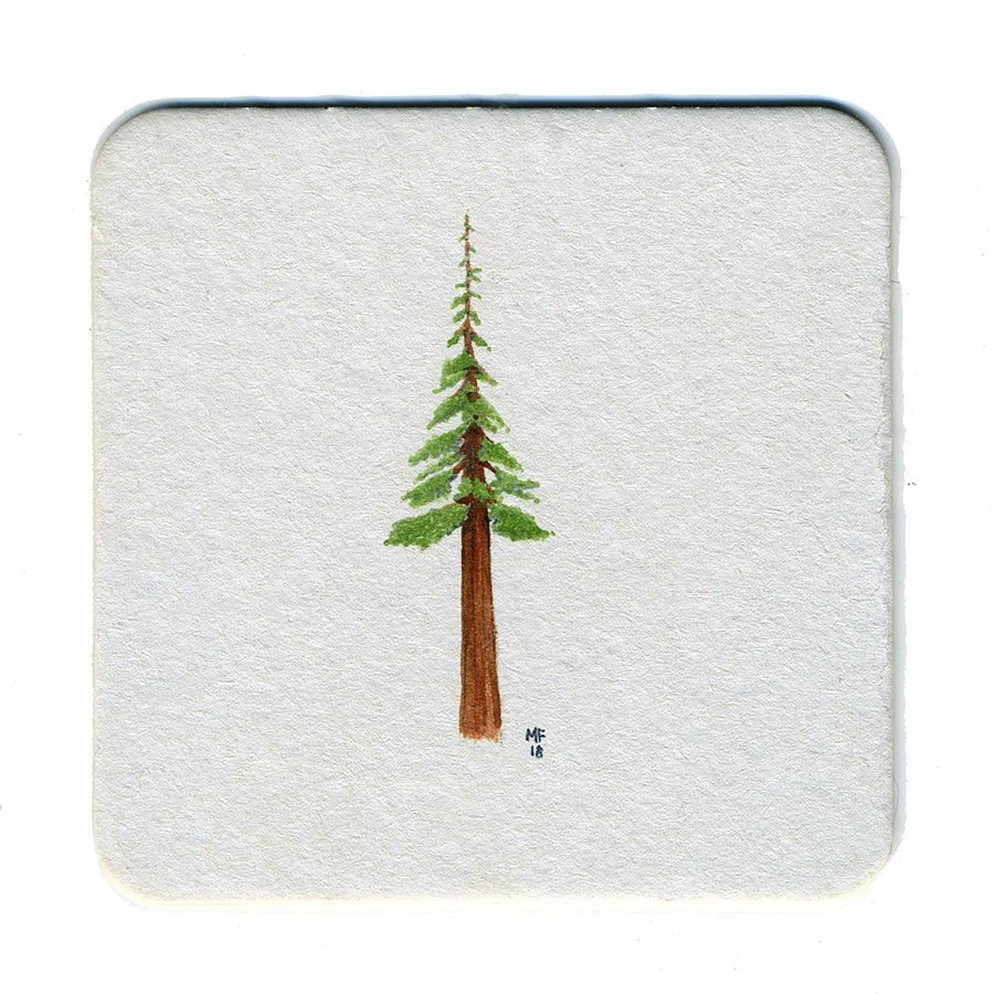 365_52(star_wars_tree).jpg