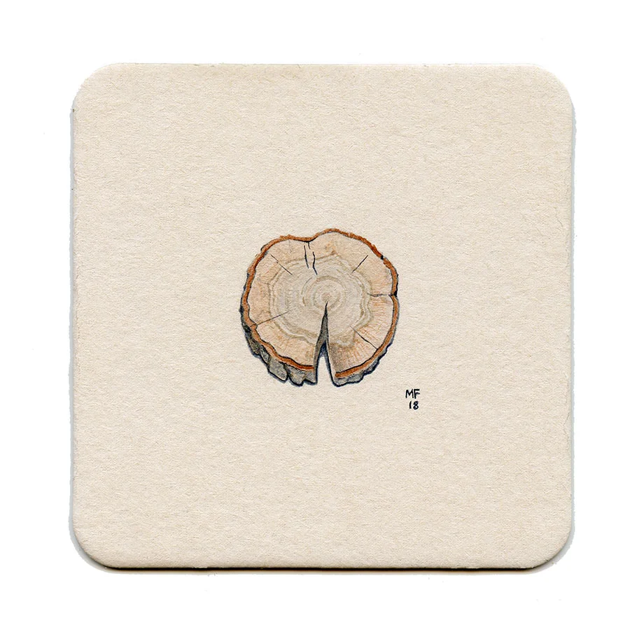 365_87(cut_tree_trunk)001.jpg