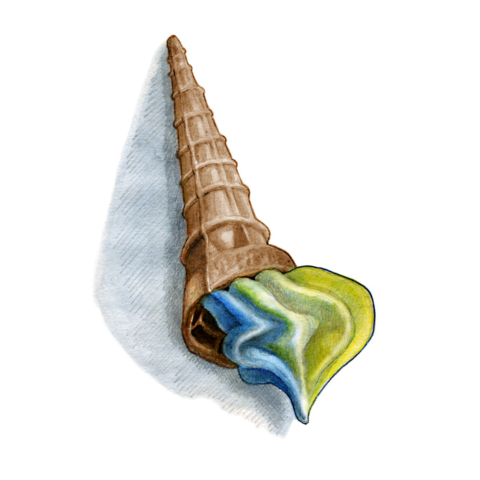 candy_ice_cream.jpg