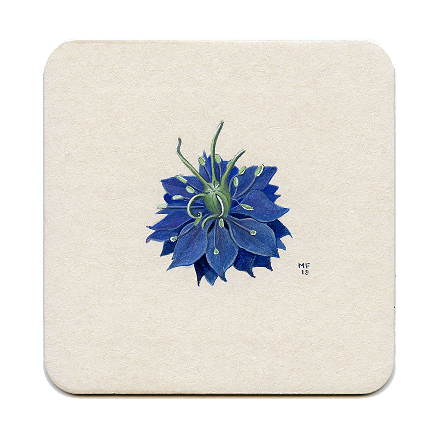 Blue Nigella Flower