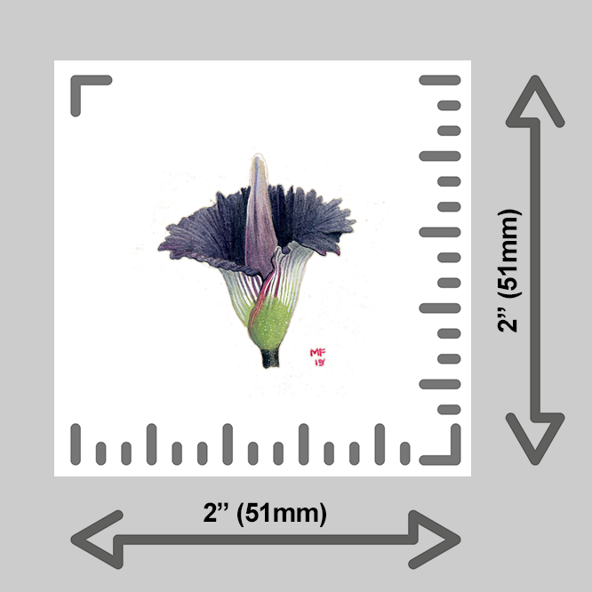 tiny-prints-25-corpse-flower(ruler).png
