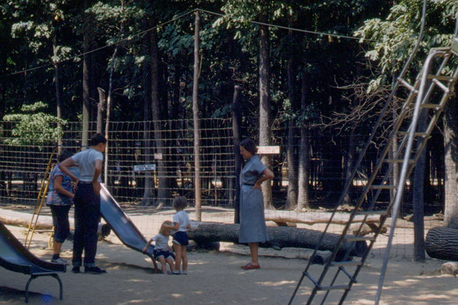 1953-11.jpg