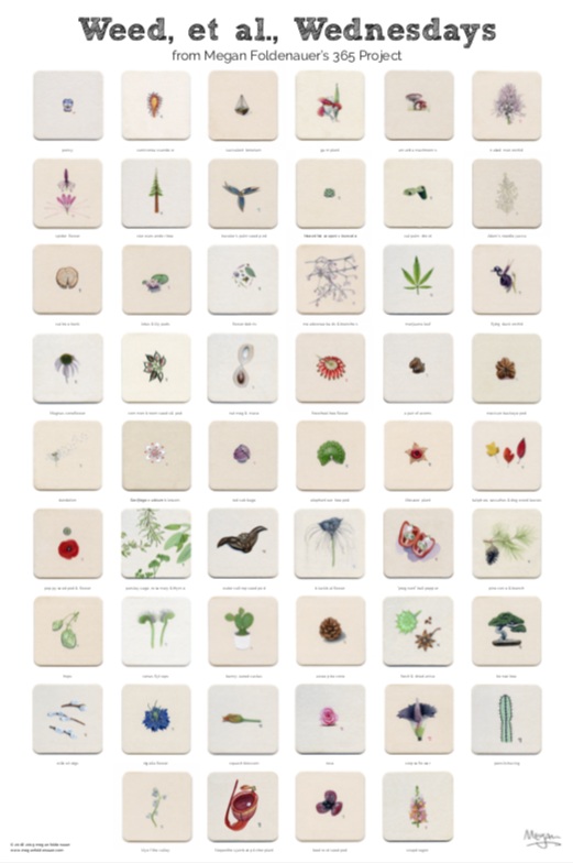 Screen+Shot+2019-07-23+at+3.57.11+PM.jpg