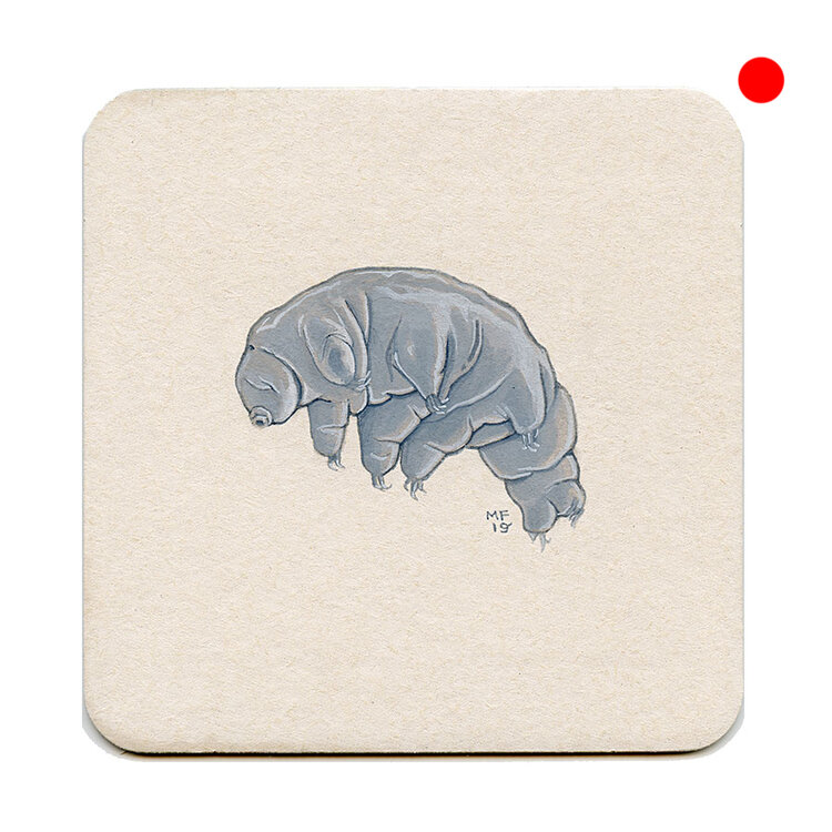 365_298(tardigrade)001.jpg