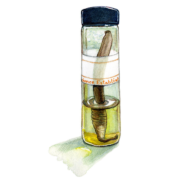 worm_specimen.jpg