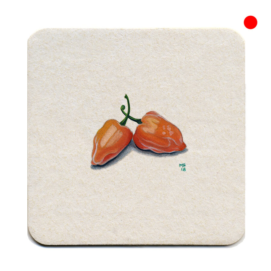 365_180(habanero)cc.jpg