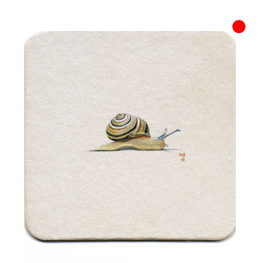365_88(snail)cc.jpg