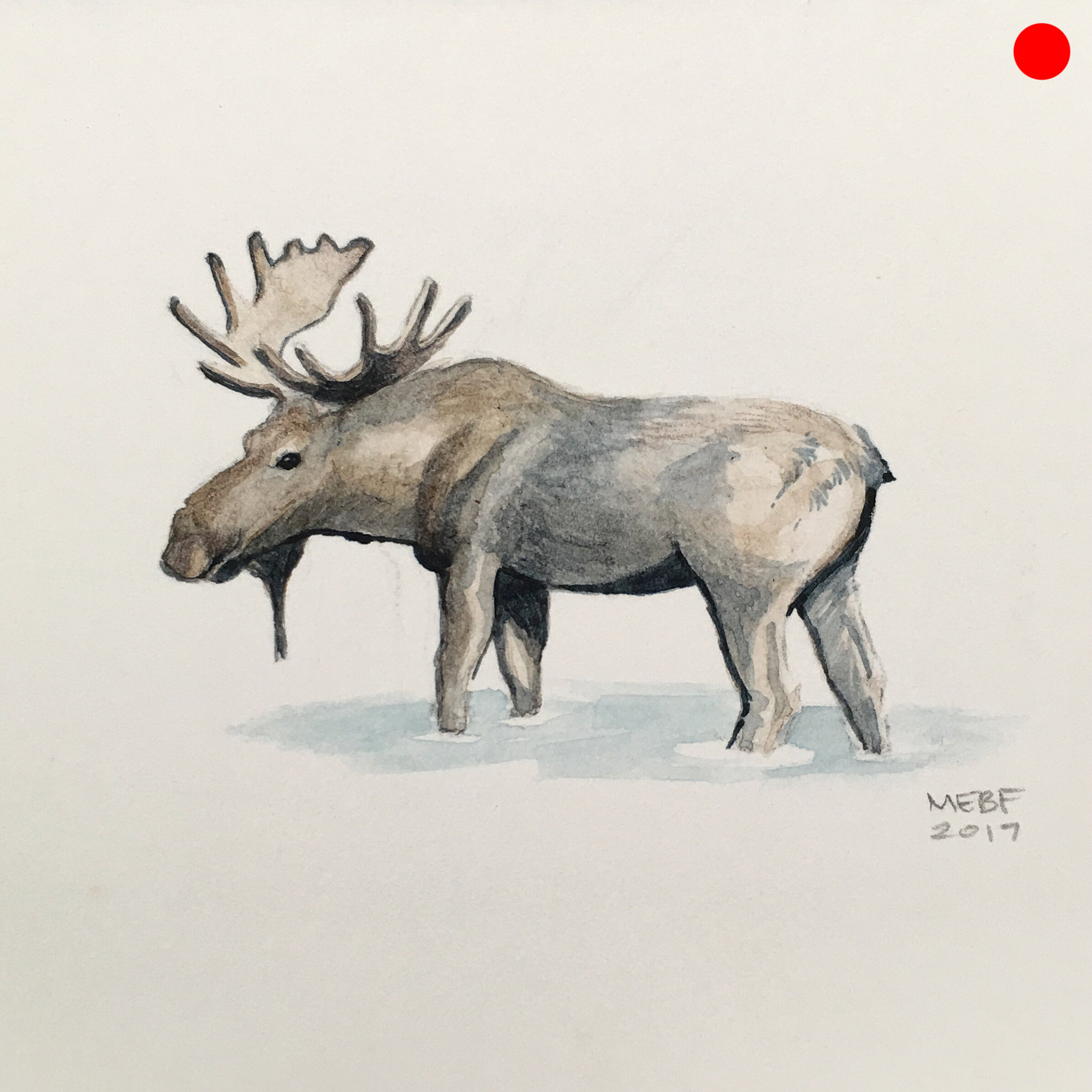 moose(SOLD).jpg