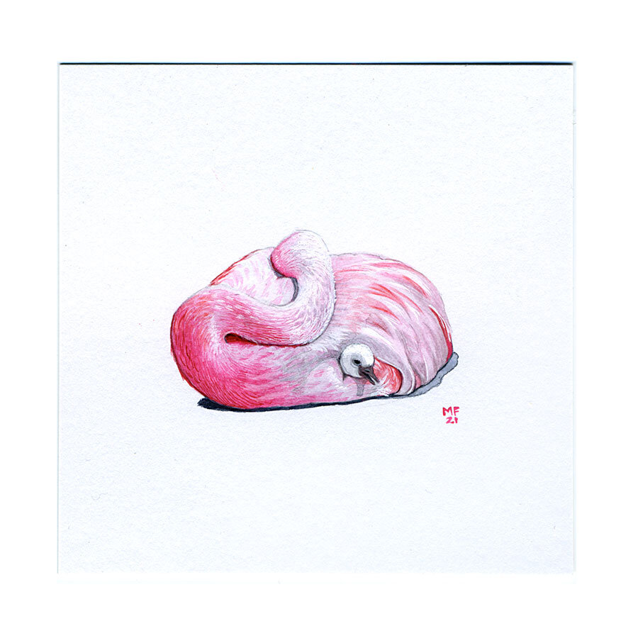 flamingo&baby_me_54.jpg