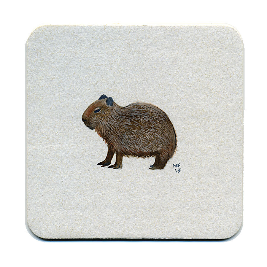 365_270(caybara_baby)001.jpg