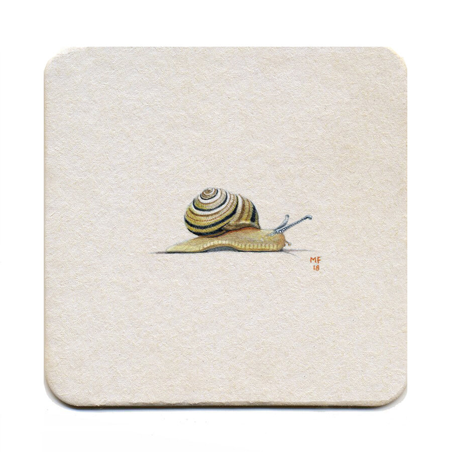 365_88(snail).jpg
