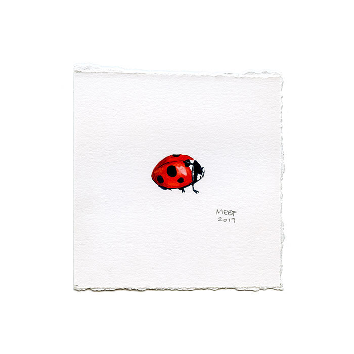 A2_art_fair_new_ladybug(SOLD).jpg