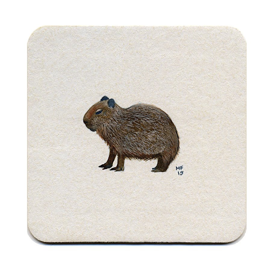 365_270(capybara_baby)ccS.jpg
