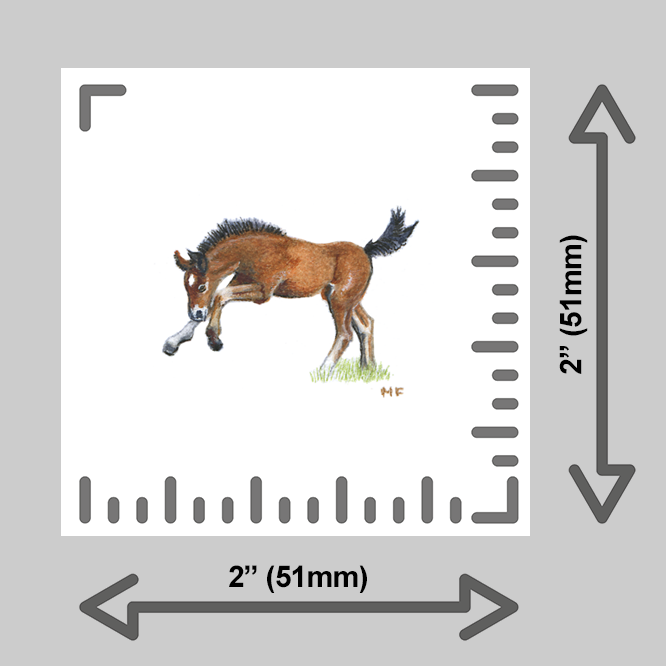 tiny-prints-25-brown-foal(ruler).png