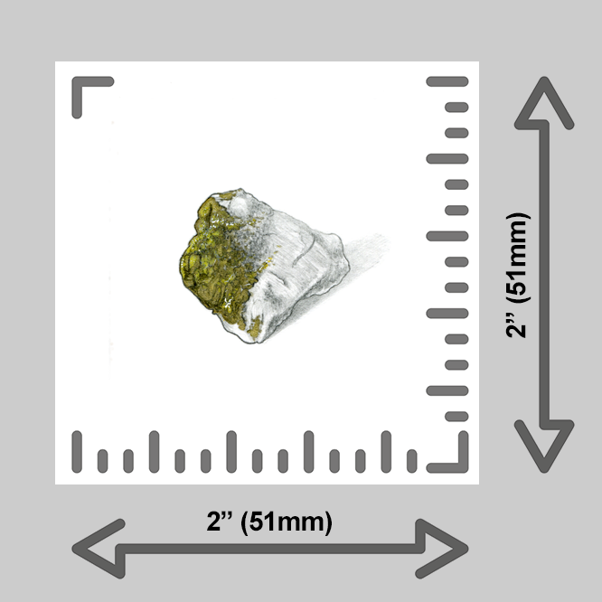 tiny-prints-25-fools-gold(ruler).png