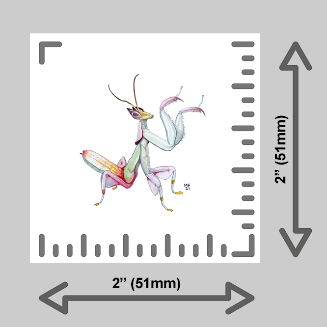 tiny-prints-25-orchid-mantis(ruler).png