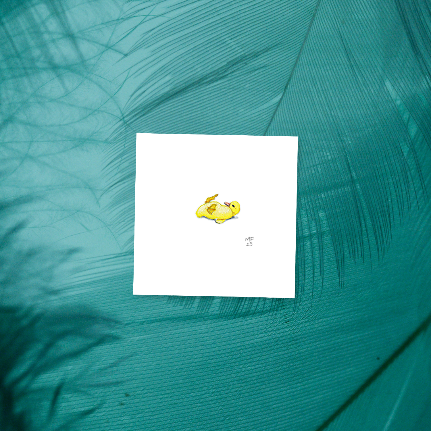BIRDS2-duckling-mockup.png