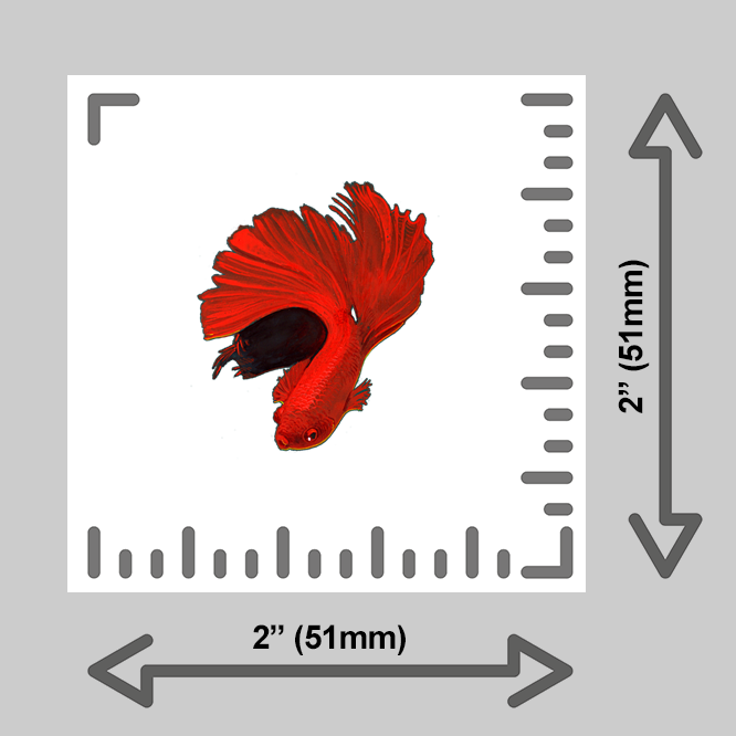 tiny-prints-25-beta-fish(ruler).png
