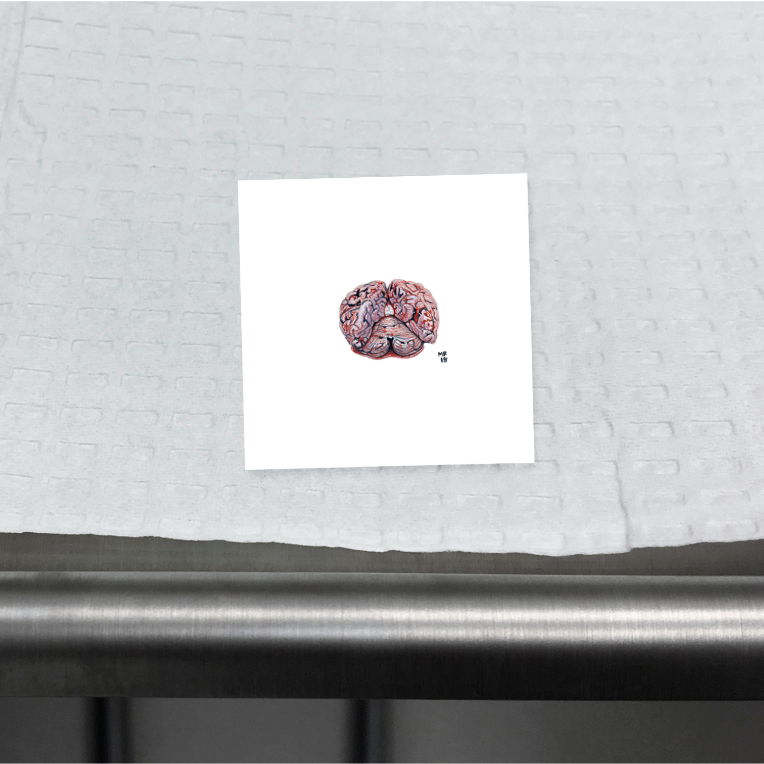 BODY2-splayed-brain-mockup.png