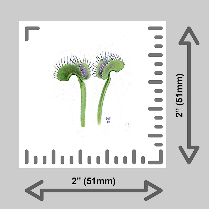 tiny-prints-25-venus-fly-traps(ruler).png