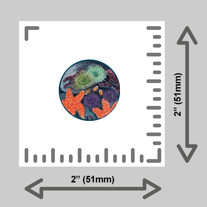 tiny-prints-25-tidal-pool(ruler).png