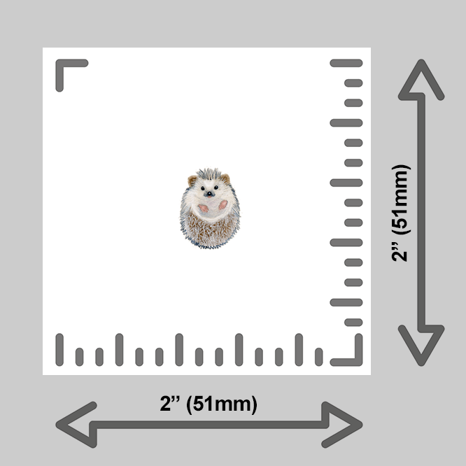 tiny-prints-25-curled-hedgehog(ruler).png
