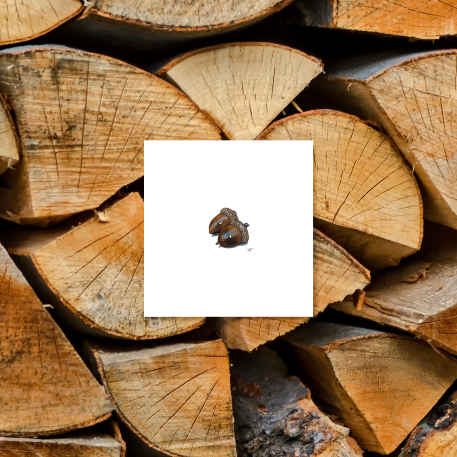 AUTUMN4-pair-of-acorns-mockup.png