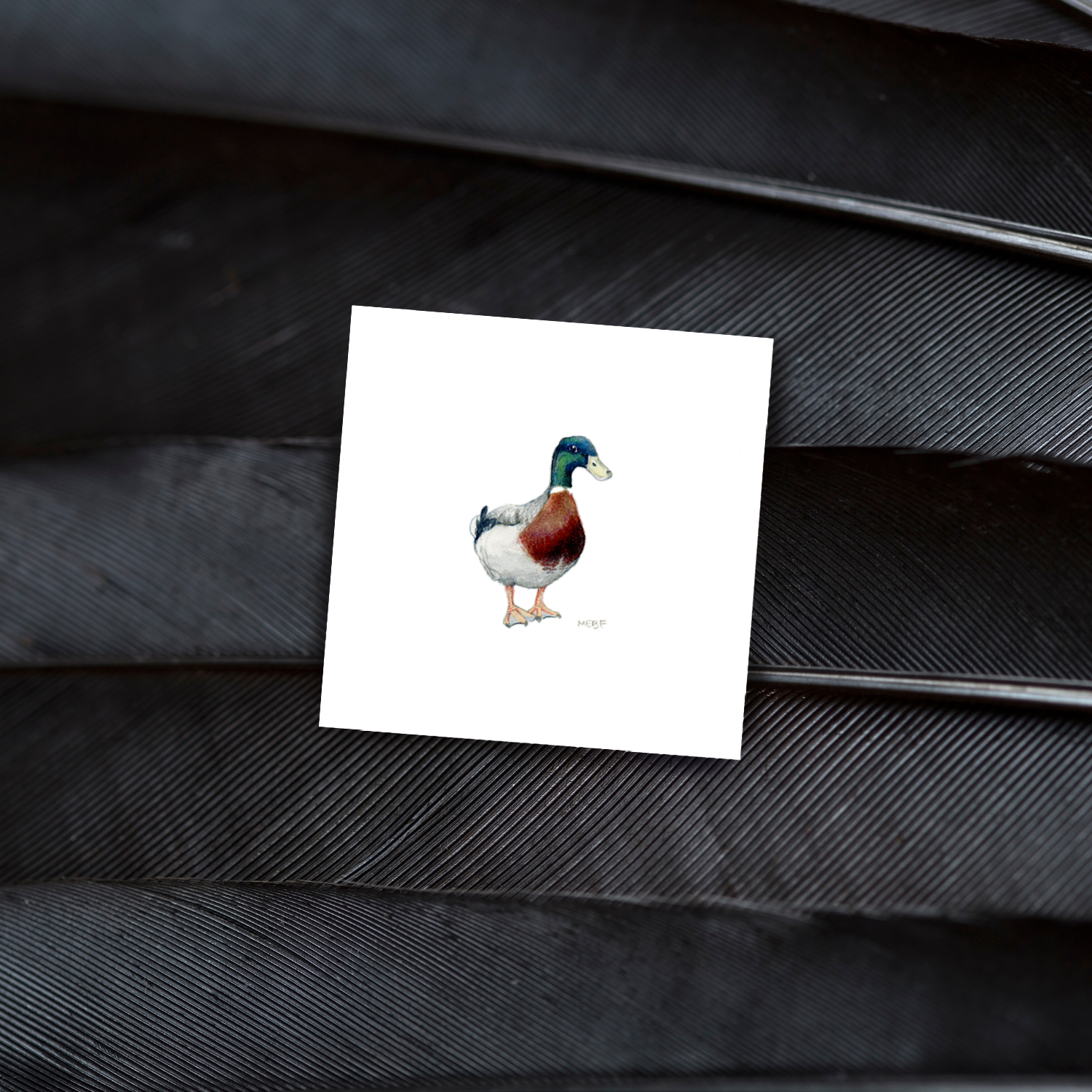 BIRDS1-mallard-duck-mockup.png