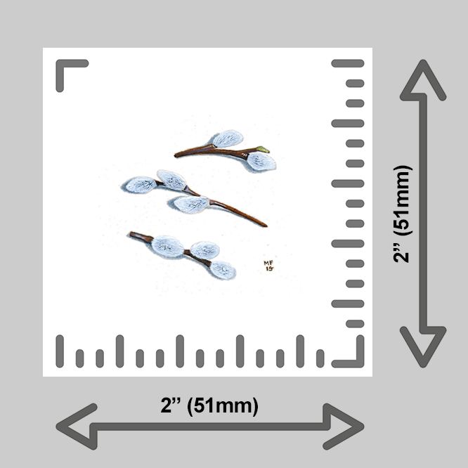 tiny-prints-25-pussywillow(ruler).png