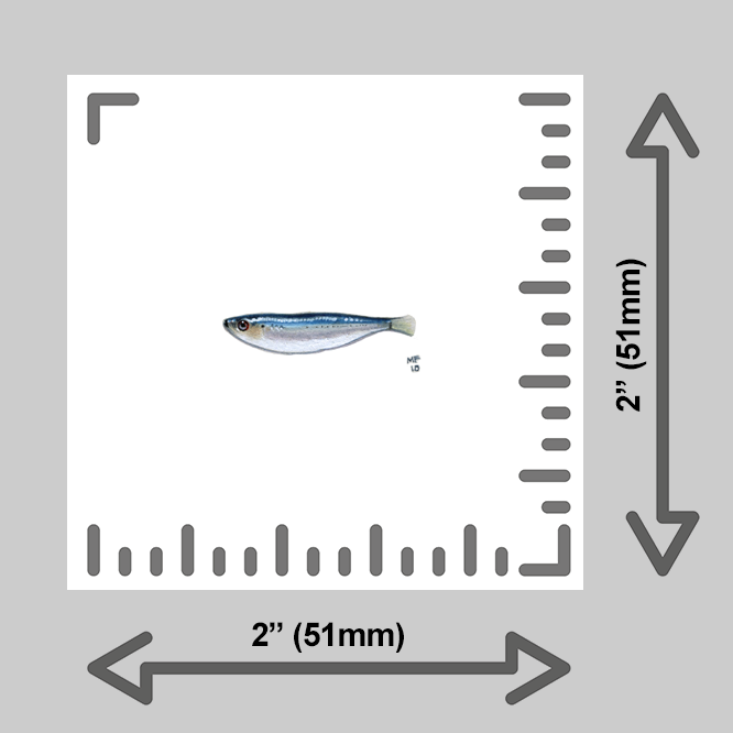 tiny-prints-25-sardine(ruler).png