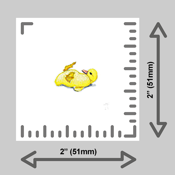 tiny-prints-25-duckling(ruler).png