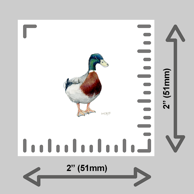 tiny-prints-25-mallard-duck(ruler).png