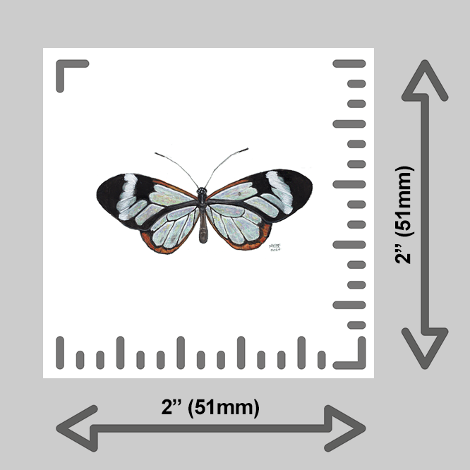tiny-prints-25-glass-wing-butterfly(ruler).png