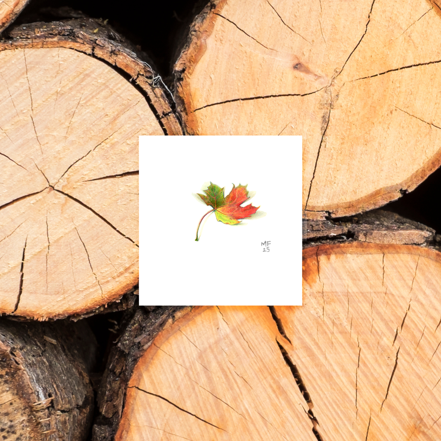 AUTUMN2-tri-color-leaf-mockup.png