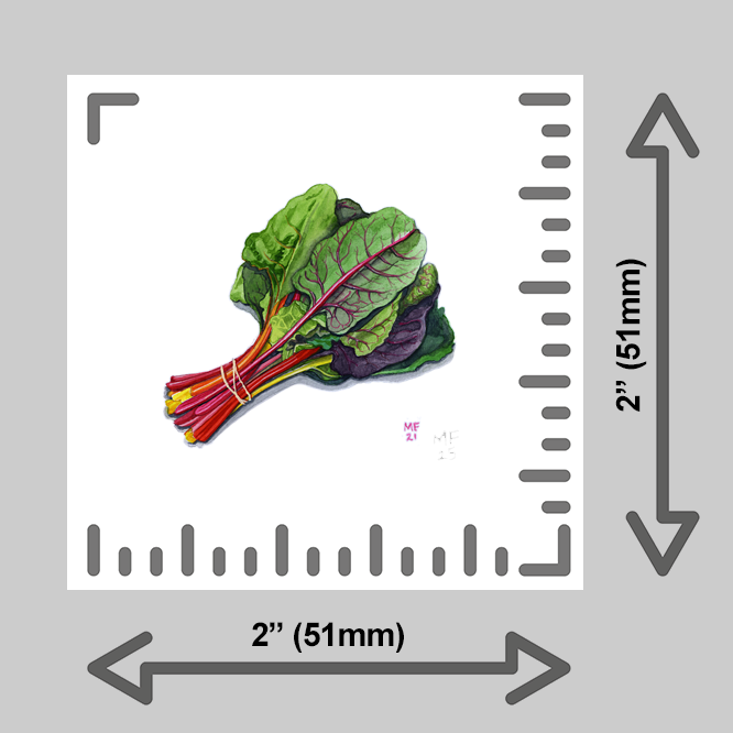 tiny-prints-25-rainbow-chard(ruler).png