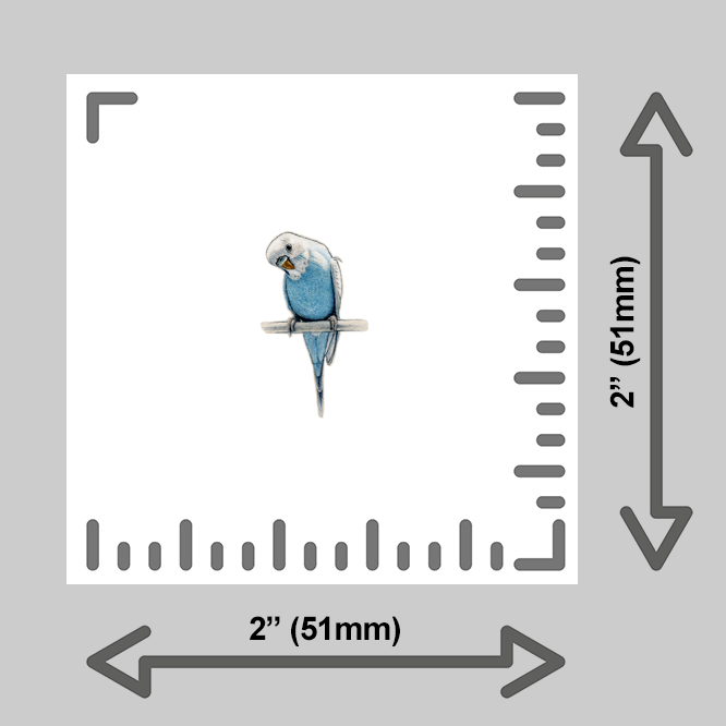 tiny-prints-25-blue-parakeet(ruler).png