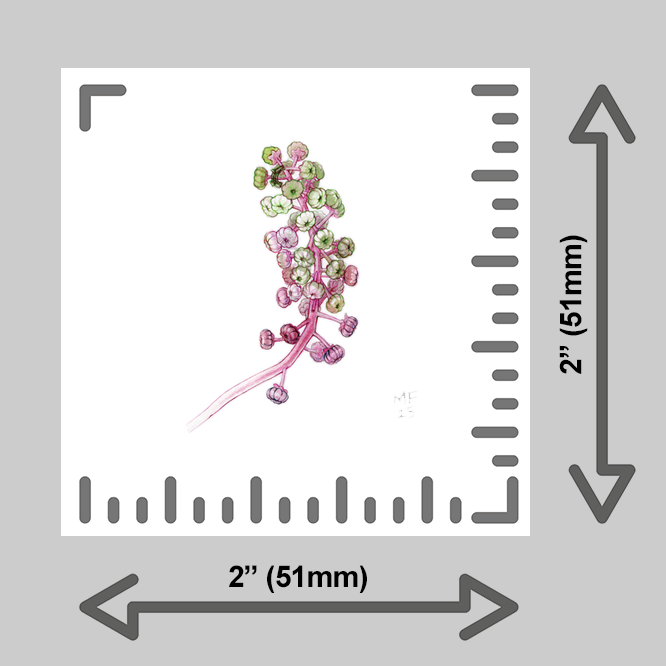 tiny-prints-25-polk-berries(ruler).png